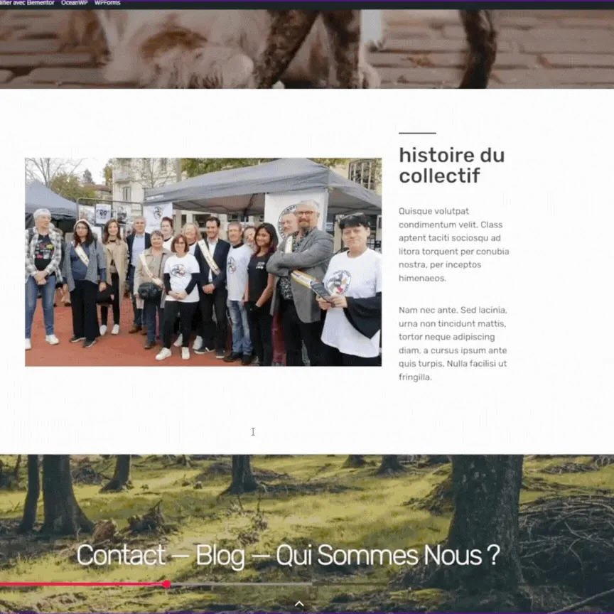 gif du site CPA gif