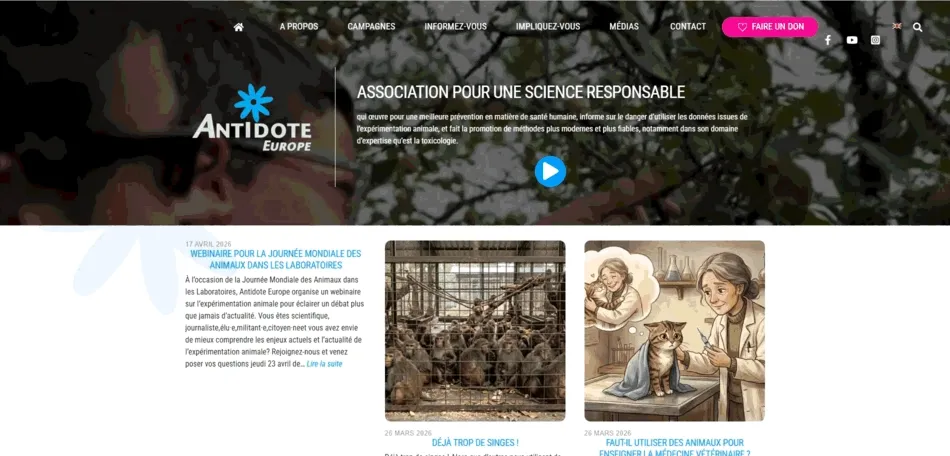 gif du site antidote avant la refonte gif du site antidote avant la refonte